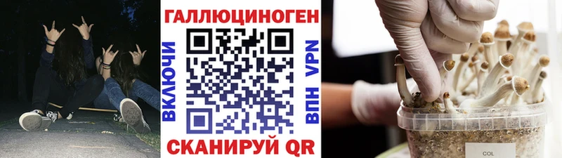 Купить закладки  Похвистнево  Псилоцибиновые грибы MAGIC MUSHROOMS 